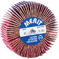 Threaded Mini Flap Wheel, Ceramic Alumina, 40 Grit, 3" x 1" x 1/4"-20 Superchem Industries