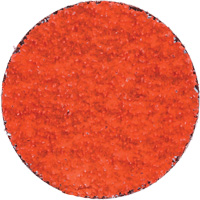 Blaze R980P Quick-Change Cloth Disc, 2" Dia., 36 Grit, Ceramic Alumina Superchem Industries