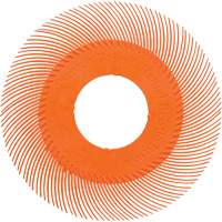 Scotch-Brite Type C Precision Radial Bristle Brush PN-RB without Adapter, Ceramic, 80+ Grit, 6" Dia. Superchem Industries