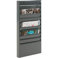 Literature Storage Racks, Stationary, 10 Slots, Steel, 13-1/8" W x 2" D x 26-1/4" H Superchem Industries
