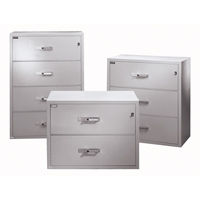 Fire Resistant Filing Cabinets, Steel, 4 Drawers, 38-3/4" W x 23-1/2" D x 55" H, Black Superchem Industries