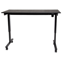 Adjustable Stand-Up Desk, Stand-Alone Desk, 45-1/4" H x 29-1/2" D, Black Superchem Industries