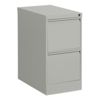 Vertical Filing Cabinet, Steel, 2 Drawers, 15-1/7" W x 25" D x 29" H, Grey Superchem Industries
