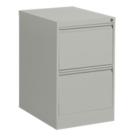 Vertical Filing Cabinet, Steel, 2 Drawers, 18-1/7" W x 25" D x 29" H, Grey Superchem Industries