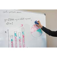 Whiteboard Eraser Superchem Industries