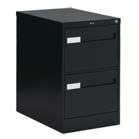Vertical Filing Cabinet with Recessed Drawer Handles, 2 Drawers, 18.15" W x 26.56" D x 29" H, Black Superchem Industries