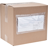 Packing List Envelopes, 4" L x 5" W, Endloading Style Superchem Industries