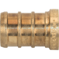 Lead-Free Pipe Plug, Pipe, 1/2" Dia., Brass Superchem Industries
