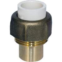 Raccord union, 1/2", PVC-C, Embout femelle x bras&eacute; Superchem Industries