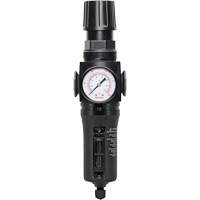 Manual Drain Filter/Regulator with Metal Bowl Modulair 300, 1/4" NPT, 250 PSI, 5.1 fl. oz. Capacity Superchem Industries