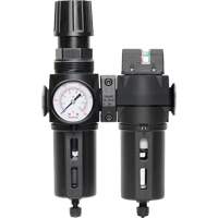 Filter/Regulator & Coalescing Filter Modulair 300 with Standard Bowl & Manual Drain, 3/8" NPTF, 150 PSI, 5.12 fl. oz. Capacity Superchem Industries