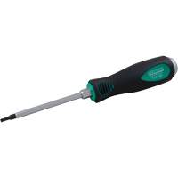 Torx&reg; Screwdriver Superchem Industries