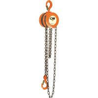 Chain Hoist, 10' Lift, 1000 lbs. (0.5 tons) Capacity, Steel Chain Superchem Industries