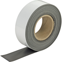 Write-On Magnetic Tags, Magnetic, 600" L x 2" W Superchem Industries