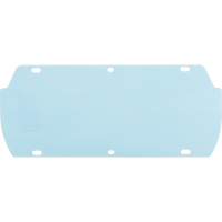 Visi&egrave;re Facetec en polycarbonate, Polycarbonate, Teinte Transparent Superchem Industries