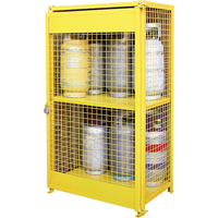 Gas Cylinder Cabinets, 12 Cylinder Capacity, 44" W x 30" D x 74" H, Yellow Superchem Industries