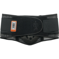 Proflex&reg; 1051 Mesh with Lumbar Pad, Mesh, Small Superchem Industries