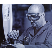 Uvex&reg; Flex Seal Safety Goggles, 3.0 Lens, Anti-Fog, Indirect Vent Superchem Industries