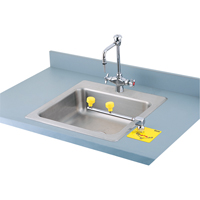 Swing-Away Eyewash Station, Counter-Mount Installation Superchem Industries