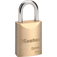 Cadenas ProSeries, Argent, Cl&eacute;s diff&eacute;rentes, Rev&ecirc;tement en laiton, Largeur de 1-9/16" Superchem Industries