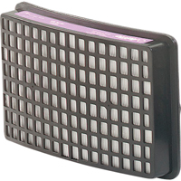 Speedglas Respiratory Protection-replacement Filters & Cartridges, P100 Filter, Pack of 2 Superchem Industries