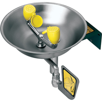 Eye/Face Wash Station, Wall-Mount Installation, Stainless Steel Bowl Superchem Industries