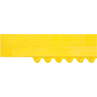 Rampe de bordure pour tapis Superchem Industries