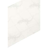 Premium Anti-Skid Tape, 4" x 60', Clear Superchem Industries