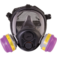 Respirateur &agrave; masque complet de s&eacute;rie RU6500 de North, Silicone, Grand Superchem Industries