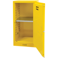 Armoire pour produits inflammables, 16 gal., 1 Porte(s), 23" La x 44" h x 18" p Superchem Industries