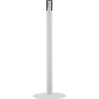 Poteaux receveurs marins, Hauteur de 38", Blanc Superchem Industries