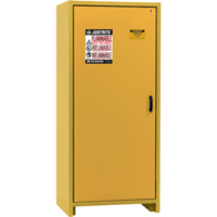 30-Minute EN Safety Storage Cabinet, 30 gal., 1 Door, 34.02" W x 76.65" H x 24.21" D Superchem Industries