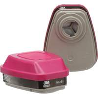 6000 Series Respirator Cartridges, Gas/Vapour Cartridge, Organic Vapour/P100 Superchem Industries