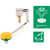 Eye/Face Wash Station, Sink Mount Installation Superchem Industries