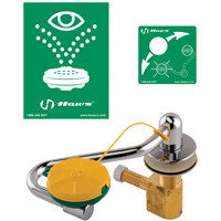 Eye/Face Wash Station, Sink Mount Installation Superchem Industries