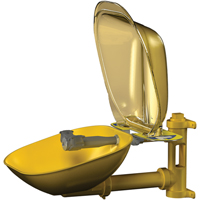 Poste de douche oculaire Halo, Installation Montage mural, Bol Plastique Superchem Industries