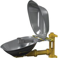 Poste de douche oculaire Halo, Installation Montage mural, Bol Acier inoxydable Superchem Industries