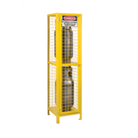 Gas Cylinder Cabinets, 2 Cylinder Capacity, 17" W x 17" D x 69" H, Yellow Superchem Industries