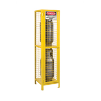 Gas Cylinder Cabinets, 2 Cylinder Capacity, 17" W x 17" D x 69" H, Yellow Superchem Industries