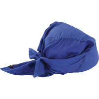Foulards de refroidissement en triangle Chill-Its 6710CT, Bleu Superchem Industries