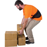 Back Support, Elastic, Small Superchem Industries