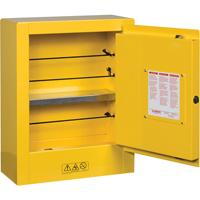 Sure-Grip&reg; EX Mini Flammable Safety Cabinet, 2 Gal., 1 Door, 17" W x 22" H x 8" D Superchem Industries