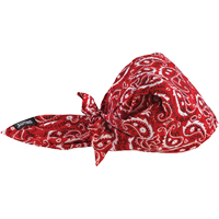 Bandeaux en triangle 6710CT de refroidissement en tissu de serviette Chill-Its, Rouge Superchem Industries