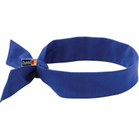 Foulards de refroidissement ignifug&eacute;s 6700FR Chill-Its, Bleu Superchem Industries
