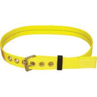 Delta Tongue-Buckle Belt Superchem Industries