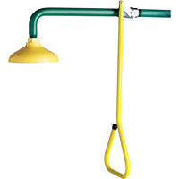 Lifesaver&reg; Emergency Overhead Showers, Wall-Mount Superchem Industries