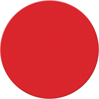 Marqueurs all&eacute;g&eacute;e/5S Armor Stripe, Cercle, 6" lo x 6" la, Rouge, Plastique Superchem Industries
