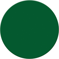 Marqueurs all&eacute;g&eacute;e/5S Armor Stripe, Cercle, 6" lo x 6" la, Vert, Plastique Superchem Industries
