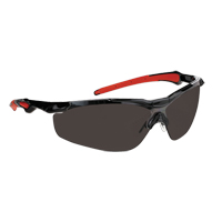 Dynamic Hawk Series Safety Glasses, Smoke Lens, Anti-Fog, ANSI Z87+/Meets/Exceeds CSA Z94.3 Superchem Industries