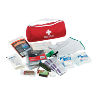 Dynamic Car First Aid Kit, Class 1 Medical Device, Nylon Bag Superchem Industries